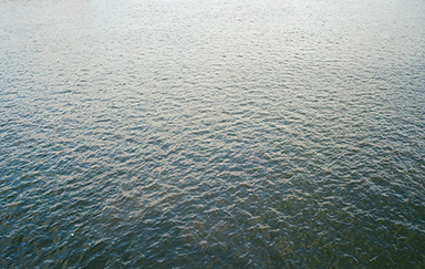 Untitled, 2015