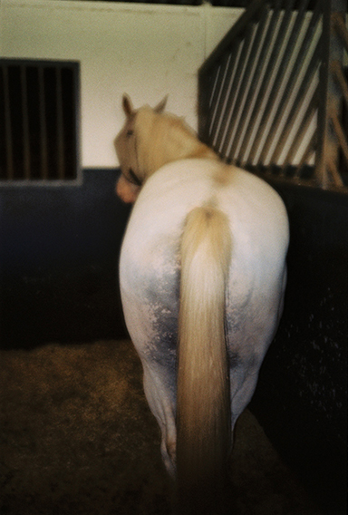 Untitled, 2015