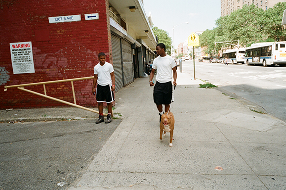 Harlem, 2016